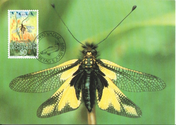 FL 0967 / 0970 MC ● - 1989